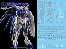 G-REWORK -HG- STTS-909 Rising Freedom Gundam