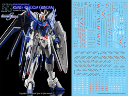 G-REWORK -HG- STTS-909 Rising Freedom Gundam G-REWORK -HG- STTS-909 Rising Freedom Gundam