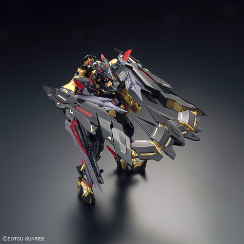 GUNDAM RG -24- GUNDAM ASTRAY GOLD FRAME AMATSU MINA 1/144