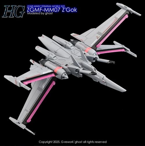 G-REWORK -HG- ZGMF-MM07 Z'GOK  GUNDAM