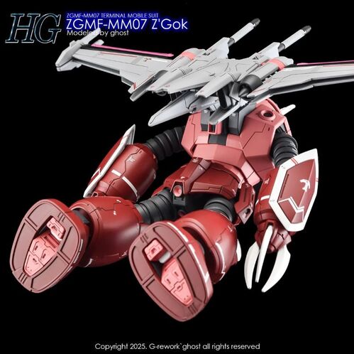 G-REWORK -HG- ZGMF-MM07 Z'GOK  GUNDAM