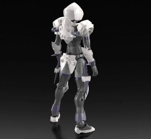 30MF- 11 - ROSAN  ASSASSIN