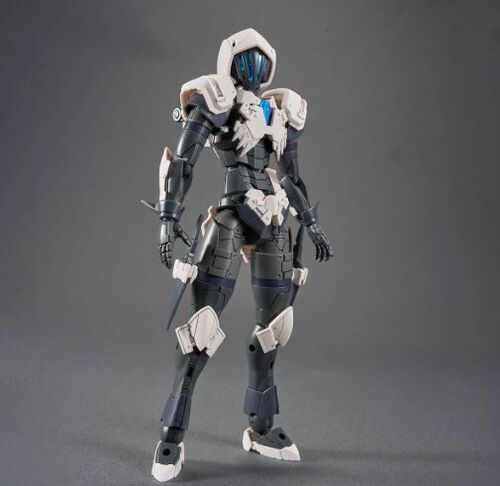 30MF- 11 - ROSAN  ASSASSIN