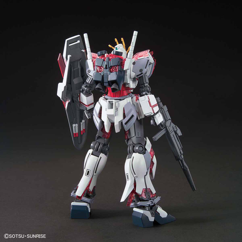 GUNDAM HGUC -222- NT RX-9/C NARRATIVE GUNDAM C-PACKS 1/144