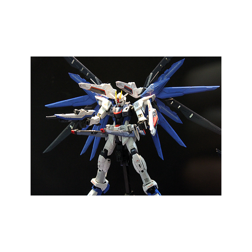 1/144 Mobile Suit Gundam SEED RG ZGMF-X10A Freedom Gundam 