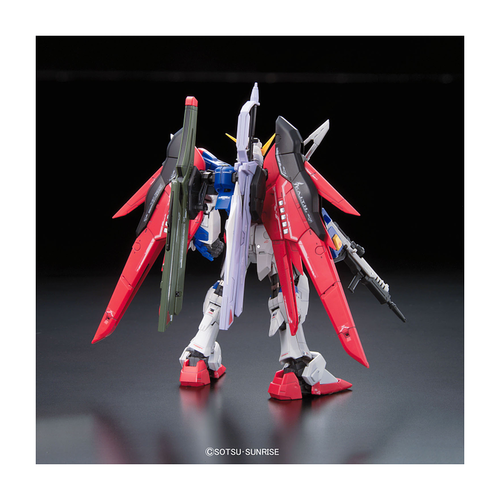 GUNDAM RG -11- SEED ZGMF-X42S DESTINY GUNDAM 1/144