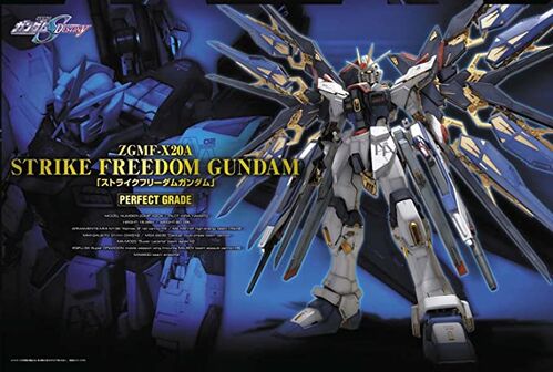 GUNDAM PG -14- ZGMF-X20A